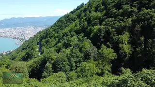 Anadolu'dan Kirazlimanı'nda Satıllık 1210 M² Fındık Bahçesi