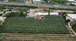 Bursa Orhangazi'de Satılık Tarla