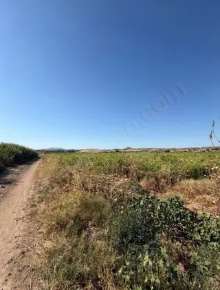 Manisa Ahmetli Yaraşlı Mahallesinde 13.500m² Satılık Bağ