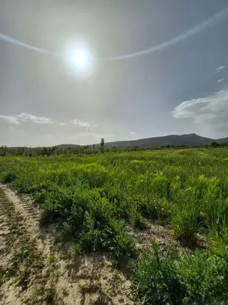 🌿 Isparta Gönen İğdecik'te Fırsat Arazi! 🌿