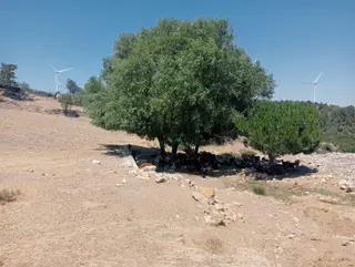 Çamoba Yaylasında Güneş Enerjisi Panali İçin Yatırmlık 9 Dekar T
