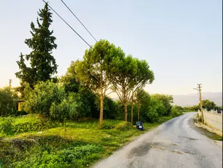 Bozdoğan Ziyaretli'de Asfalt Üzeri, 2 Katlı Taş Evli, Bahçe..