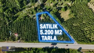 Zafer Emlak'tan Satılık 5.200 M2 Tarla