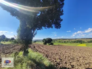 Tig'den Kütahya'da Satılık Tarla