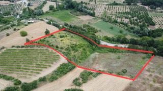 Geyve Akdoğan Köyünde 7.002 M2 Asfalt Yola Cepheli Satılık Arsa
