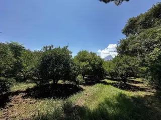 Çakırlarda Merkezi Konumda Emsallerinin Altında Satılık Arsa