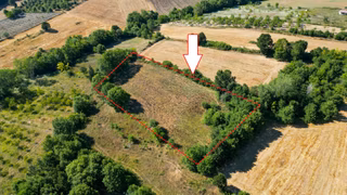 Karamürsel Hayriye 5595 M2 Satılık Yatırım Fırsatı