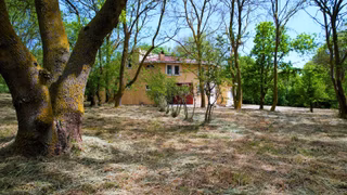 Çatalca Dağyenice 8.935 M² Arazi İçinde Satılık Müstakil Villa