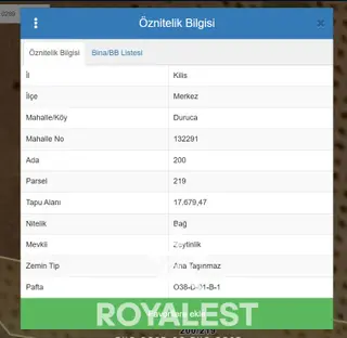 Royalest'ten Duruca 'da Yola Cepheli Zeytinlik Yatırımlık Fırsat