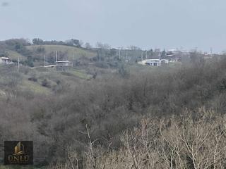 Yaman Köy'de Fırsat 8 Dönüm Zeytinlik Yerleşime Yakın