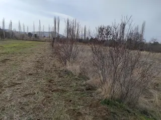 Yasemin Dönmez'den Burdur Yeşilova'da Satılık Tarla