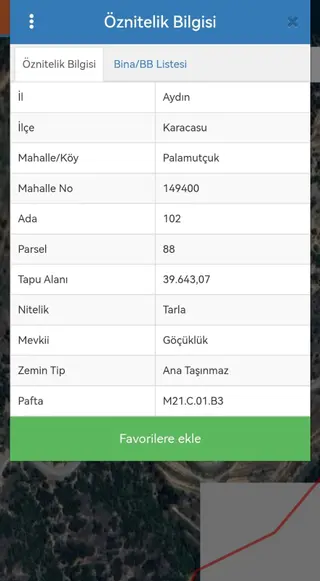 Aydın Karacasuda Satılık 40000m2 Zeytinlik