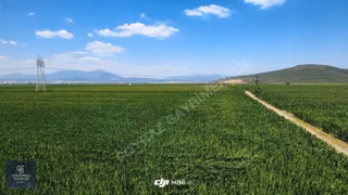Torbalı Pancar'da Satılık 30.000 M² Yola Cepheli Tek Tapu Tarla
