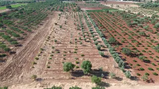 Oğuzeli Nova Gayrimenkul'den Yatırımlık Tek Tapu 10 Dönüm Tarla - 1