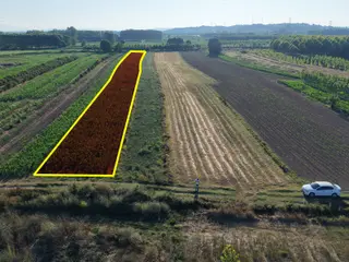 Emlak Evim - Aşşağı Çalıca Mahallesinde Satılık 2.836 M2 Tarla