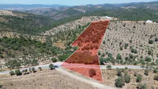 Seferihisar Devlet Hastanesi Üzerinde Ana Yol Cepheli 11.800 M² Satılık Arazi | Yatırım İçin Eşsiz F