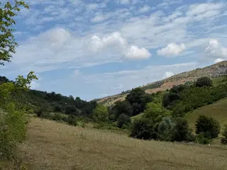 Çamlıcadan Batı Çevre Yolu Gelişim Aksında 3.415 M² Satılık Arsa