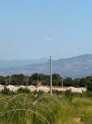 Aydın Köşk'te Yatırımlık & Yüksek Verimli Çilek Ve Meyve Üretimine Uygun Stratejik Arazi