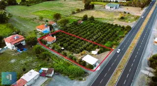 Köyceğiz Döğüşbelen'de Karayoluna Cepheli 2.500 M2 Satılık Arazi