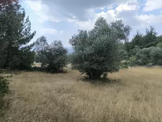 Manisa Yunusemre'de Sarı Alan İçinde, İmar Sınırında Arazi