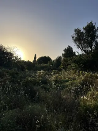 Bodrum Dağbelen'de Köy İçi İmarlı Arsa