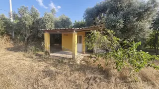 Kemalpaşa Armutlu 3.170 M² Tek Tapu Yola Cepheli Yapı Kayıtlı