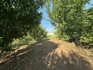 New Form Dan Karacailyas 'da Kiralık 10.500m2 Tarla