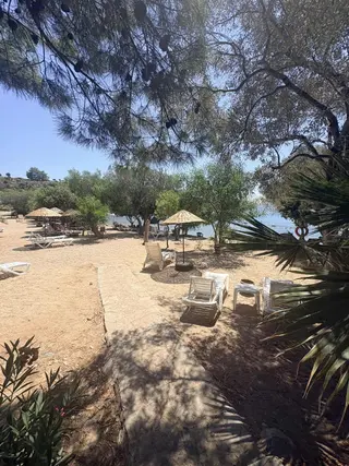 Milas Kıyıkışlacık İassos Beach Clubda Fırsat..