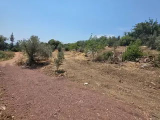Sahibinden Kumluca,incircikte Mustakil Tapulu