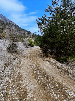Araç Takasına Uygun Mudurnu Da Satılık Tek Tapu(1.577 M²) Tarla