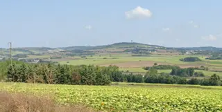 Çatalca Kestanelik'te 16.846 M² Satılık Tarla