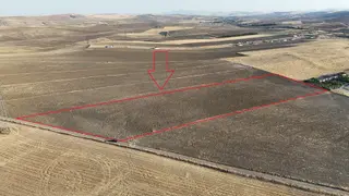 Soğulcakda 14.394m2 Tek Tapu Kök Tapu Satılık Tarla Karadeniz Em