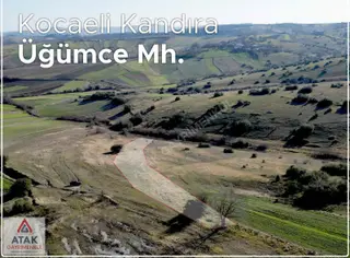 Kocaeli Kandıra Üğümce De Tek Tapu Satılık Tarla