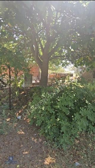 Çanakkale Ezine'de Satılık Köyiçi 380 M2 Müstakil Tapu