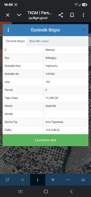 Acil Satılık Zeytinlik