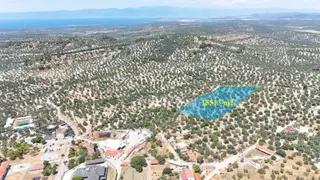 Mutlu'köye Sıfır Köy İçinde Fırsat Resmi Yolu Bulunan Zeytinlik