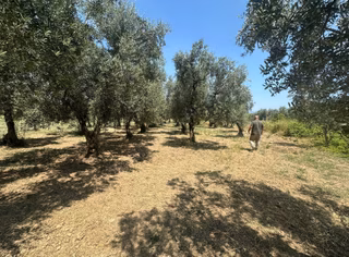 Bursa Emlak Alemi Yeni Gürledi 1.791m2 Dost Yolu Olan Satılık