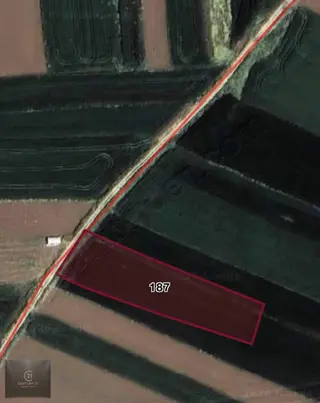 Kuşcenneti Mahallesinde Yolu Mevcut Tek Tapu Satılık Tarla