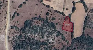 Balıkesir Sındırgı Satılık 1682 M2 Tarla