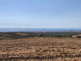 Şarköy De Işık Emlaktan İğdebağları Mah De 8600 M2 Tarla