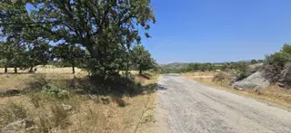 Ezine Alemşah Asfalt Yola Cepheli Arsalara Komşu Satılık Arazi