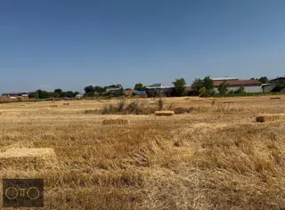 Otto Gayrımenkul Yolçatı En Uygun Arsa