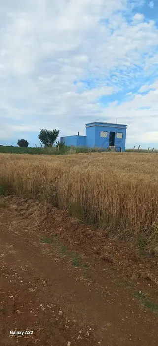 Vize Doğancada Asfalt Yola Sınır 4.180 M2 Yatırımlık Arazi