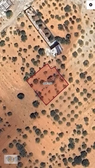 Nuray Gayrimenkulden Gürsuda Satılık Tek Tapu Arazi