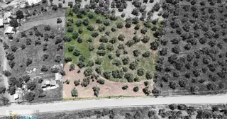 Sahil Kent Yolu Üzerinde 78 Metre Yol Cepheli, 9.478 M² Satılık Zeytinlik
