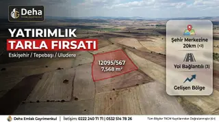 Eskişehir Tepebaşı Uludere'de Fırsat! 4.461 M² Yatırımlık Tarla