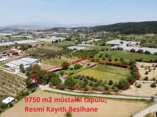 Değirmendere'de 9750m² Tarla İçinde Dubleks Ev Ve Çiftlik
