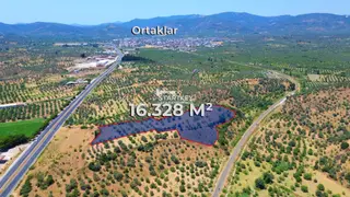 Germencik'te Yatırıma Ve Tarıma Uygun Satılık İncir Tarlası