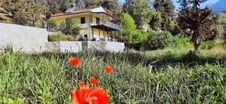 Kemer Ulupınar'da Kiralık Müstakil Ev