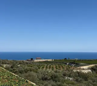 Erdemli Batısandal 500 M2 Full Deniz Manzaralı Satılık Arsa
